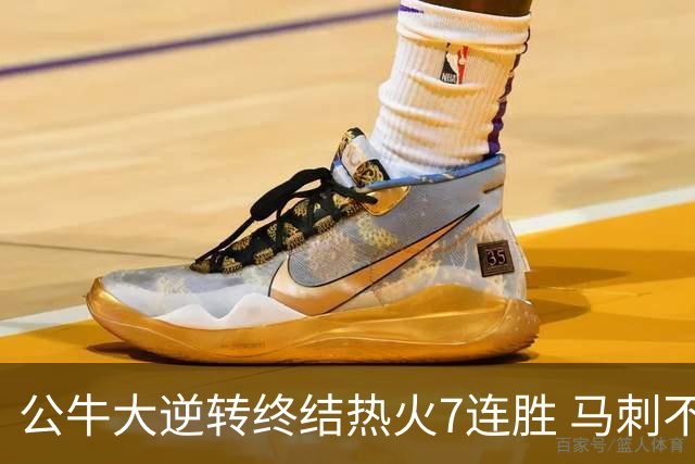 公牛大逆转终结热火7连胜 马刺不敌灰熊8连败